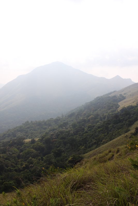 India 2010 - Coorg - Honey Valley - Trek towards Tadiandamol - Ridge Walk